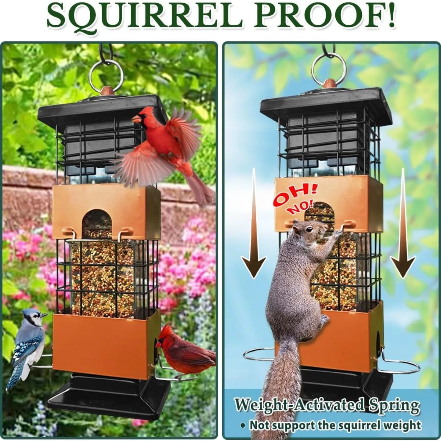 Bird Feeder for Outside, Squirrel Proof