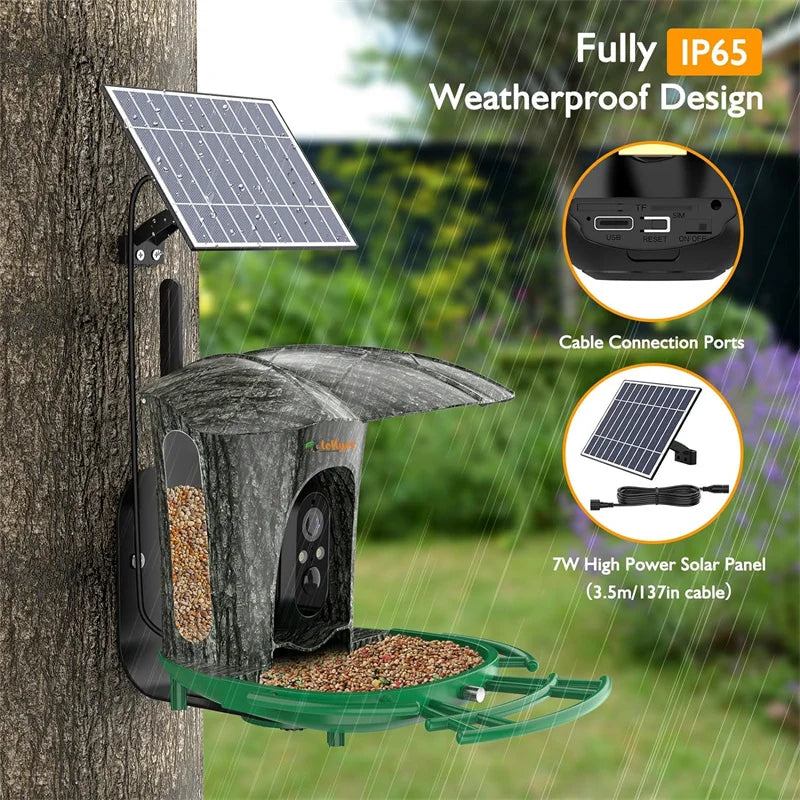 Smart Bird Feeder Camera with 64G Card, 1080P HD Identify Bird Species, Bird House with 7W Solar Panel for Wild Bird Watching - My Special Palace