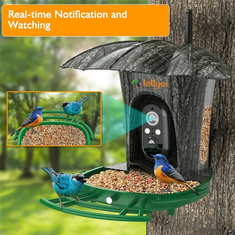 Smart Bird Feeder Camera with 64G Card, 1080P HD Identify Bird Species, Bird House with 7W Solar Panel for Wild Bird Watching - My Special Palace